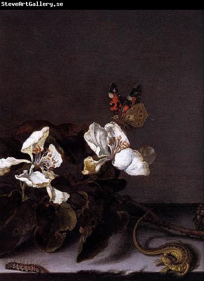 Balthasar van der Ast Still-Life with Apple Blossoms